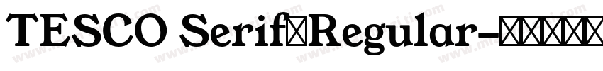 TESCO Serif◆Regular字体转换